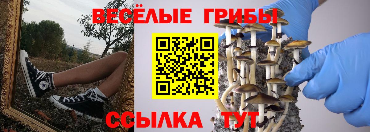 Нижнеудинск  Псилоцибиновые грибы GOLDEN TEACHER  как найти закладки  Вход с VPN  Галлюциногенные грибы мицелий 